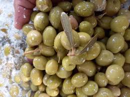 تصویر 3 از کنسرو  زیتون 760 گرمی خوشمزه درجه یک معطر صادراتی + قیمت باور نکردنی و خرید عمده
